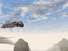 an ant is flying in the air with the words it 's morrowwednesday below it