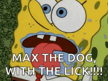 Spongebob Lick GIF - Spongebob Lick Licking GIFs