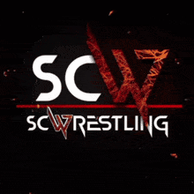 Scw Steel Cage Wrestling GIF - Scw Steel Cage Wrestling Scw Efed GIFs