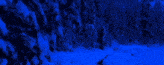 a snowy forest with trees covered in snow and a blue background