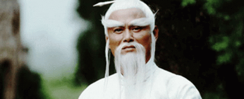 Kung Fu Master Nod GIF - Kung Fu Master Nod Agree - Discover & Share GIFs