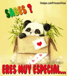 eres especial panda box special