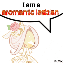 a picture of a girl with the words i am a romantic lesbian