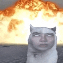 a cat with a woman 's face on its head is standing in front of a large explosion .