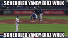 Yandy Diaz Tampa Bay Rays GIF