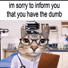 a cat with glasses and a stethoscope is wearing a doctor 's coat and holding a clipboard