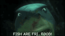 fish are food nemo shark