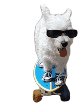 Swag Cool Sticker - Swag Cool Skater Dog Stickers
