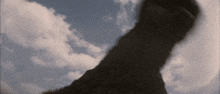 a person 's shadow is cast on a cloudy sky .