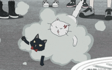 a cartoon of a black cat and a white cat with chinese writing on the bottom right