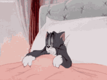 GIF