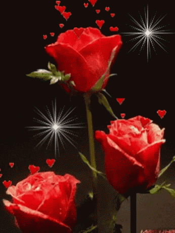 Animated Rose GIF - Animated Rose - Discover & Share GIFs