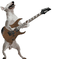 Guitarist Dog Sticker - Guitarist Dog Stickers