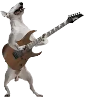 a dog playing an ibanez guitar with its mouth open