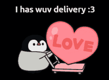 Wuv Delivery Penguin Boi GIF - Wuv Delivery Penguin Boi GIFs