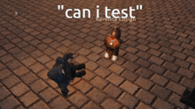 a video game screen says " can i test " and has 289 in red letters