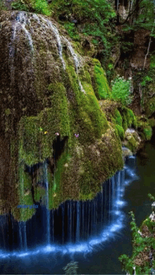 butterfly waterfall
