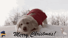 Gifs By Me Vfht GIF - Gifs By Me Vfht Christmas GIFs
