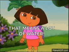 dora the explorer says that means a lot of water on make a gif