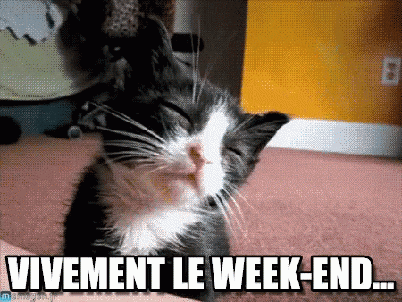 Vivement Le Week-end GIF - Vivement Le Weekend - Discover & Share GIFs