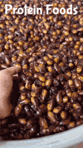 a pile of protein foods with a hand reaching for one