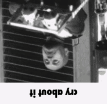 Mussolini Cry About It GIF - Mussolini Cry About It Upside Down GIFs