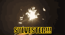 Sylvester!!! GIF - Sylvester Neujahr Wunderkerze GIFs