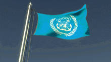 a blue flag with an anchor and a laurel wreath on it
