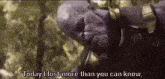 Thanos Infinity War GIF - Thanos Infinity War Today I Lost More Than You Can Know GIFs