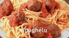 el elu spaghett el spagel elu spaghelu