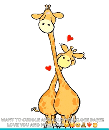 Giraffe Animals GIF - Giraffe Animals Love GIFs