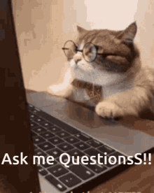 Boss Love Questions Questions GIF - Boss Love Questions Questions Ask Me GIFs