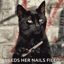 Stay Cool Nail File GIF - Stay Cool Nail File Black Cat GIFs