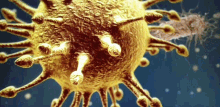 Virus Bacteria GIF - Virus Bacteria Viral GIFs
