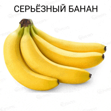 a bunch of bananas on a white background with the word green in the corner