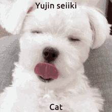 Yujin Seiiki Dog GIF - Yujin Seiiki Dog Yujin GIFs