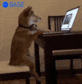 Base Base Meme GIF - Base Base Meme Based GIFs