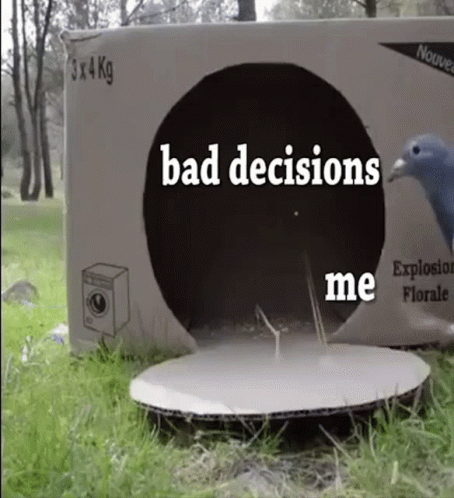 bird-bad-decisions.gif