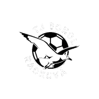 a seagull is flying in front of a soccer ball