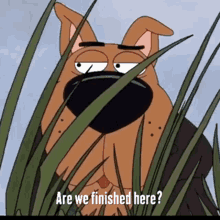 Scooby Doo Annoyed GIF - Scooby Doo Annoyed Finished GIFs