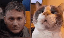 a man 's face is next to a picture of a cat 's face