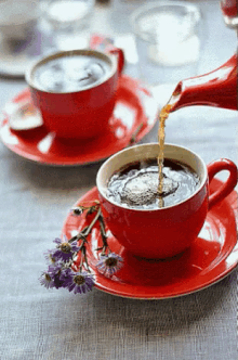 Enjoy Morning GIF - Enjoy Morning Tea GIFs