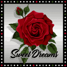 Sweet Dreams Red Rose GIF