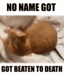 Chat Chat Roux GIF - Chat Chat Roux Beaten To Death GIFs