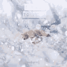 Polar Bear Snow GIF - Polar Bear Snow Winter GIFs