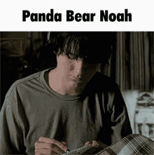 Panda Bear Noah Lennox GIF - Panda Bear Noah Lennox Animal Collective GIFs