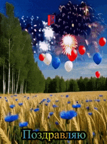 a field of wheat with blue flowers and fireworks in the sky