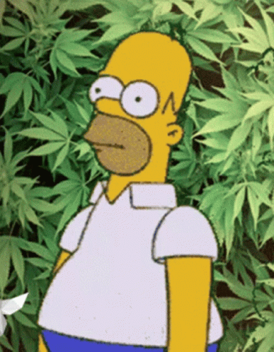 Homer Simpson Weed Gif Homer Simpson Weed Discover Share Gifs | My XXX ...