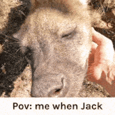 Jack Yeenster Silly Jack GIF - Jack Yeenster Silly Jack Pov Me When Jack GIFs