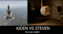 Aiden Vs Steven Aiden GIF - Aiden Vs Steven Aiden Vs GIFs